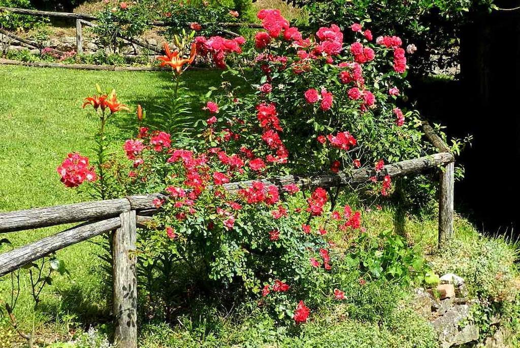 B&B Il Casale Delle Pianacce Castiglione di Garfagnana Extérieur photo
