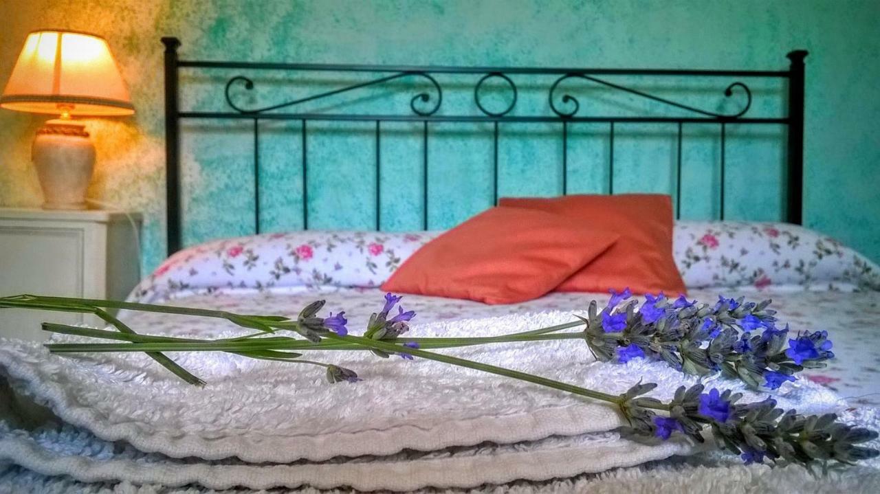 B&B Il Casale Delle Pianacce Castiglione di Garfagnana Extérieur photo