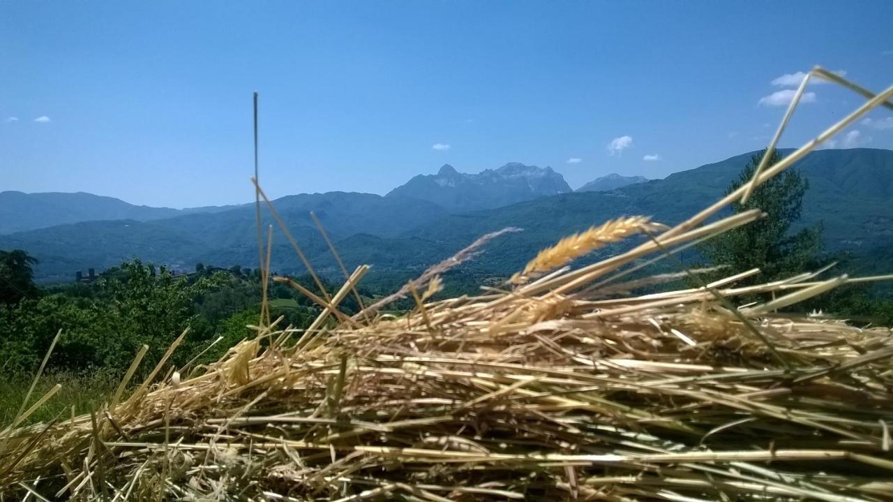 B&B Il Casale Delle Pianacce Castiglione di Garfagnana Extérieur photo